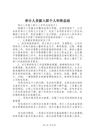 2024年审计人员新入职个人年终总结