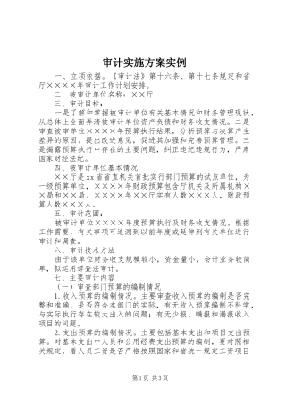 2024年审计实施方案实例