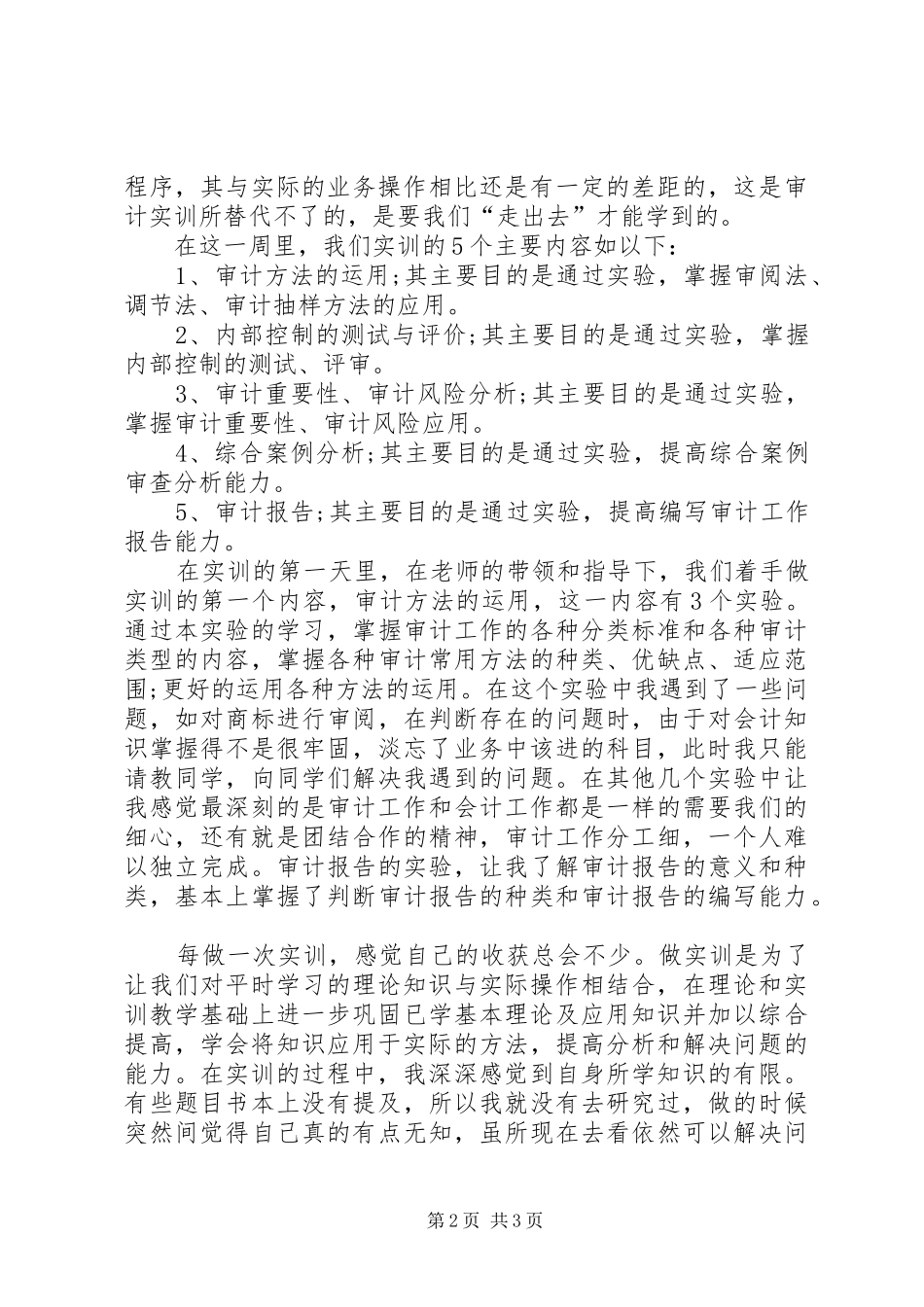 2024年审计实务实训的心得体会_第2页