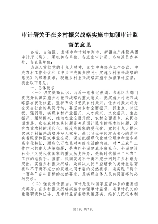 2024年审计署关于在乡村振兴战略实施中加强审计监督的意见