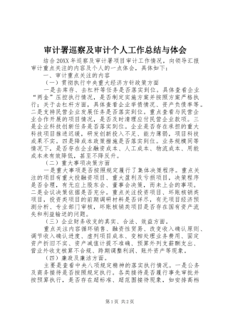 2024年审计署巡察及审计个人工作总结与体会