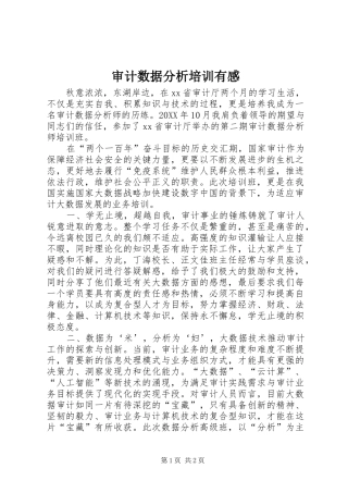 2024年审计数据分析培训有感