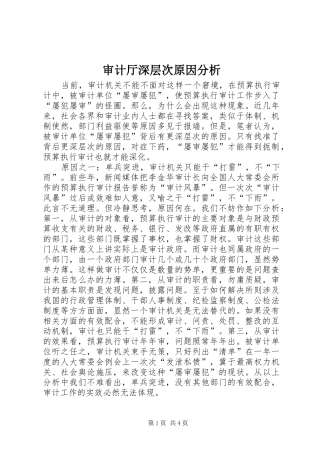 2024年审计厅深层次原因分析