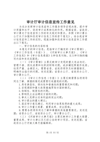 2024年审计厅审计信息宣传工作意见
