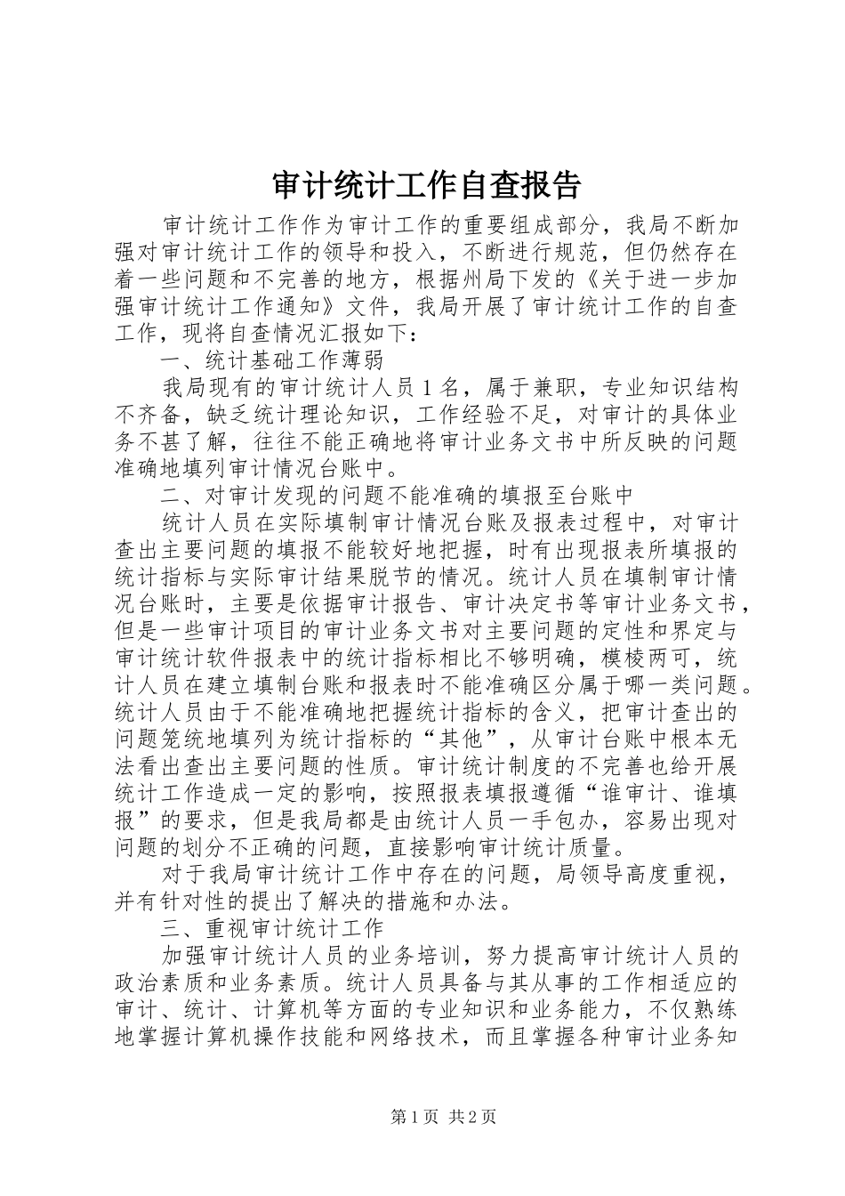 2024年审计统计工作自查报告_第1页