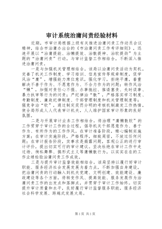 2024年审计系统治庸问责经验材料