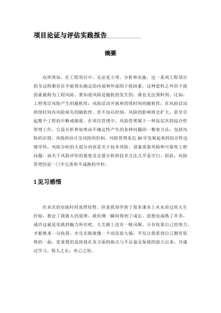 实践报告工程项目风险因素分析研究  工商管理专业
