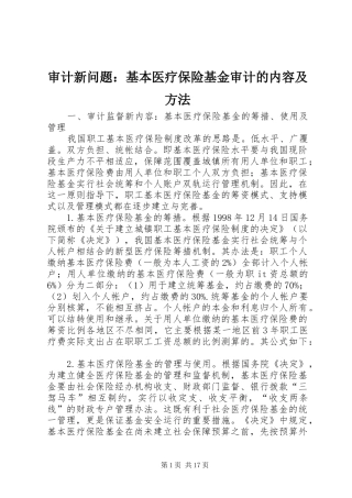 2024年审计新问题基本医疗保险基金审计的内容及方法