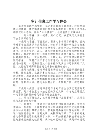 2024年审计信息工作学习体会