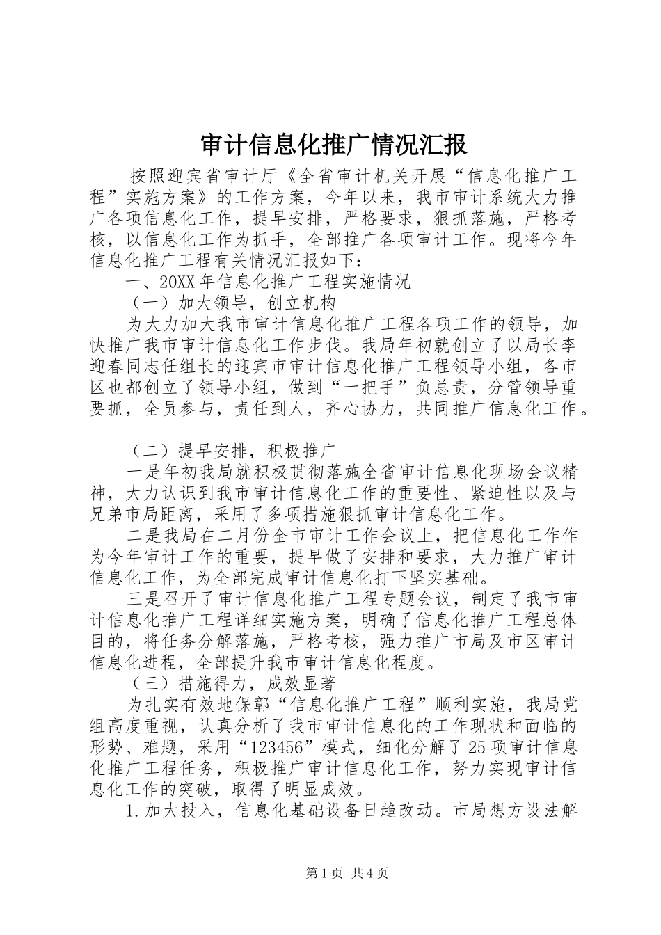 2024年审计信息化推广情况汇报_第1页