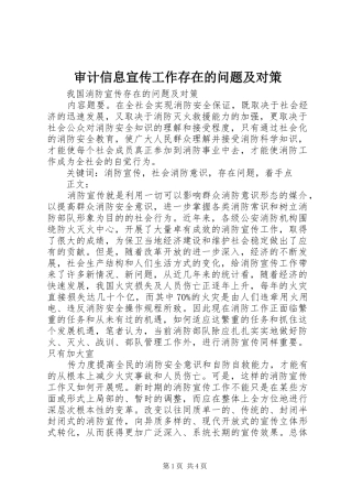 2024年审计信息宣传工作存在的问题及对策