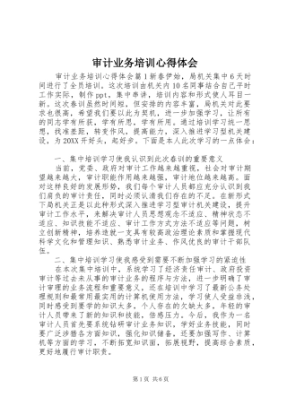 2024年审计业务培训心得体会