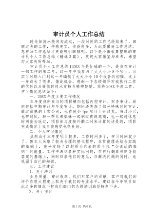 2024年审计员个人工作总结