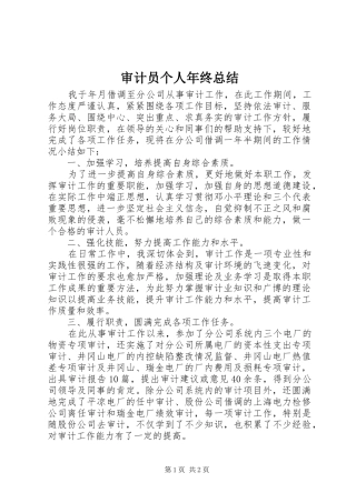 2024年审计员个人年终总结