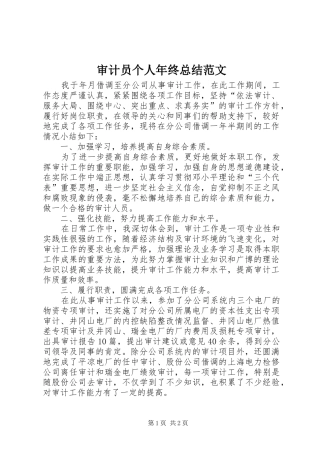 2024年审计员个人年终总结范文