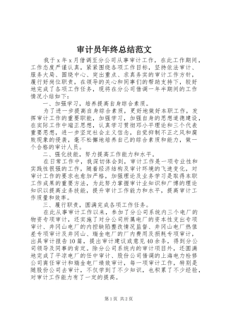 2024年审计员年终总结范文