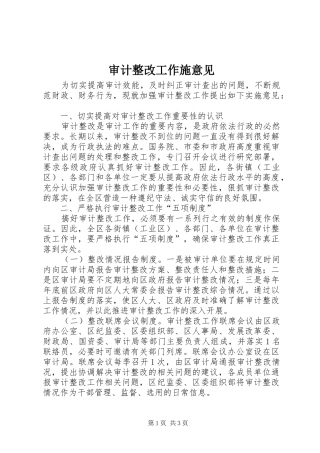 2024年审计整改工作施意见