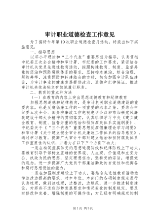 2024年审计职业道德检查工作意见