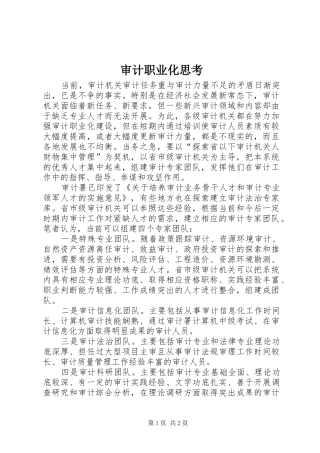 2024年审计职业化思考