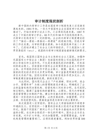 2024年审计制度现状剖析