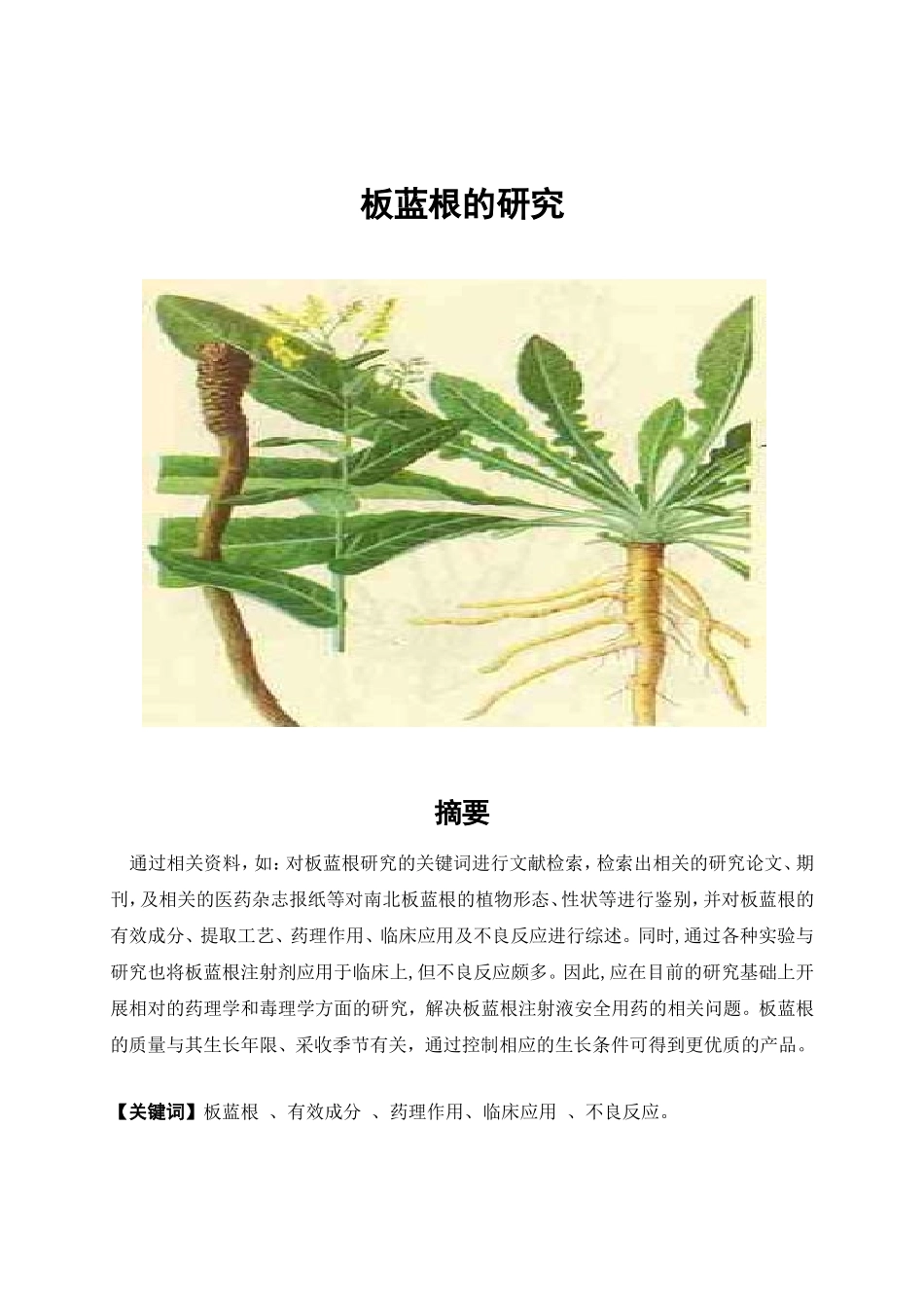 药学专业 板蓝根的综述文献_第3页