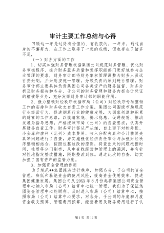 2024年审计主要工作总结与心得