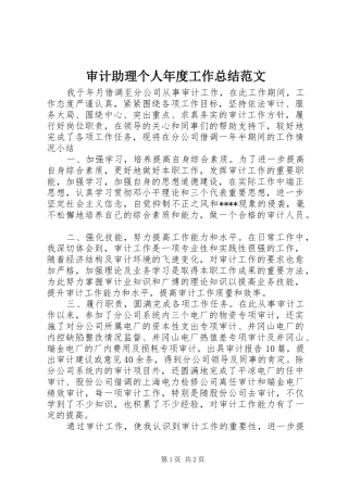 2024年审计助理个人年度工作总结范文