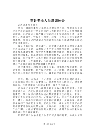 2024年审计专业人员培训体会