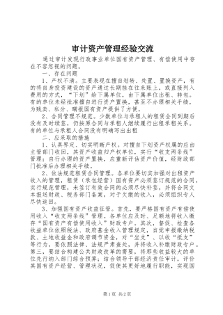 2024年审计资产管理经验交流