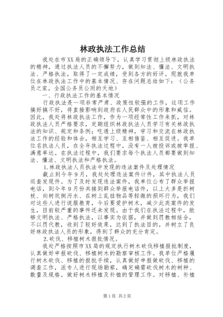 2024年林政执法工作总结