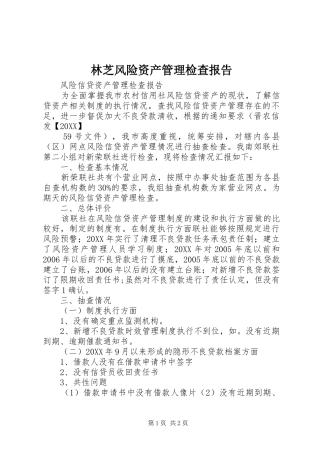 2024年林芝风险资产管理检查报告