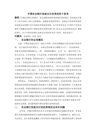 中国农业银行县级支行改革的若干思考  财务管理专业