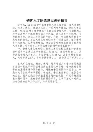 2024年磷矿人才队伍建设调研报告