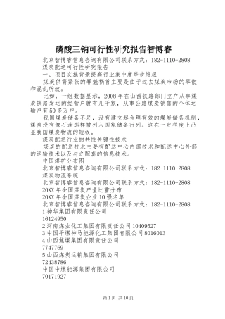 2024年磷酸三钠可行性研究报告智博睿