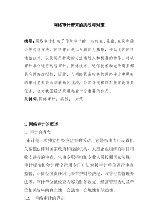 网络审计带来的挑战与对策分析研究  审计学专业