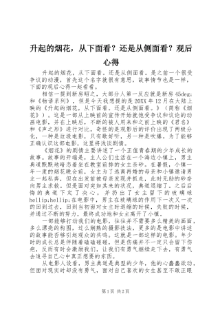 2024年升起的烟花，从下面看还是从侧面看观后心得