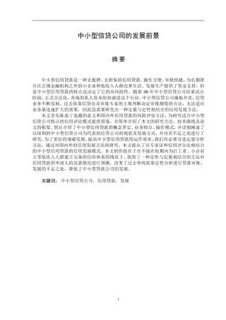 中小型信贷公司的发展前景研究分析 财务管理专业