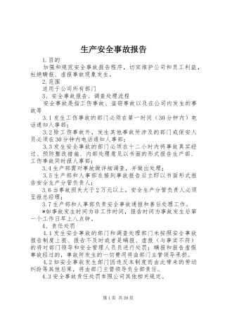 2024年生产安全事故报告