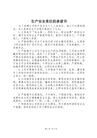 2024年生产安全责任的承诺书
