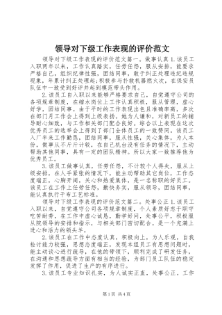 2024年领导对下级工作表现的评价范文
