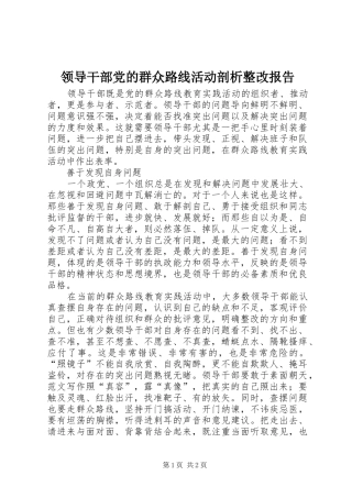 2024年领导干部党的群众路线活动剖析整改报告