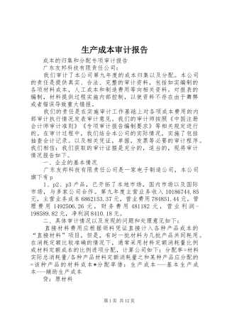 2024年生产成本审计报告