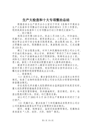 2024年生产大检查和十大专项整治总结