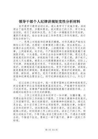 2024年领导干部个人纪律讲规矩党性分析材料