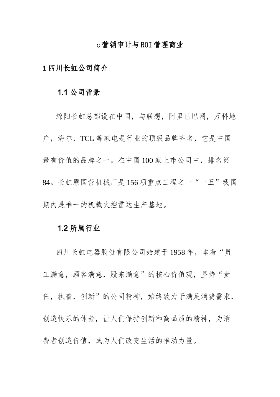 营销审计与ROI管理商业分析研究 市场营销专业_第1页