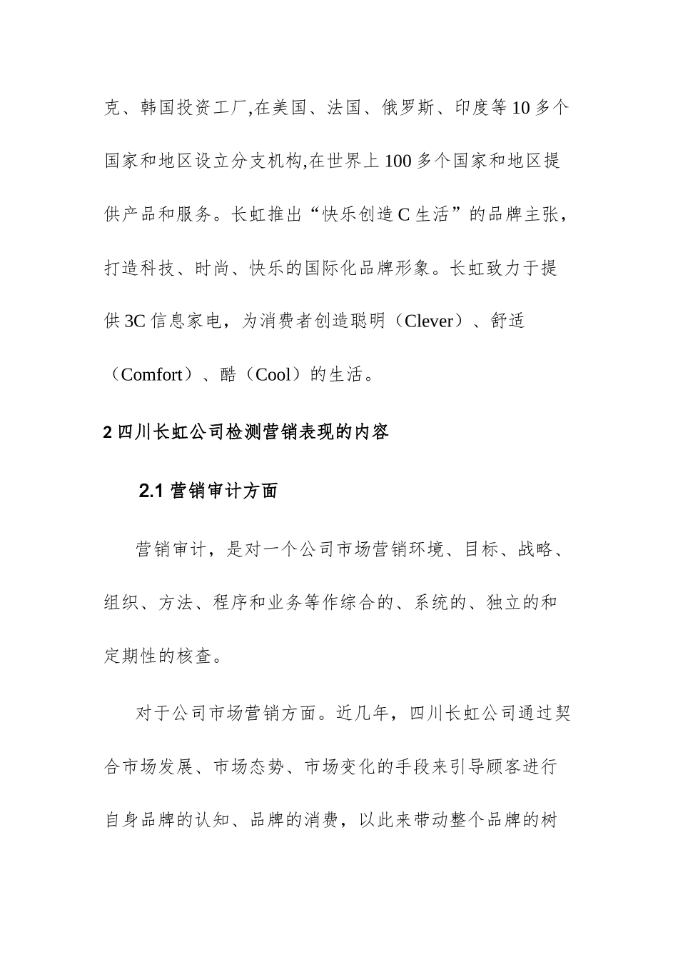 营销审计与ROI管理商业分析研究 市场营销专业_第3页