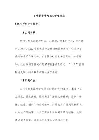 营销审计与ROI管理商业分析研究 市场营销专业