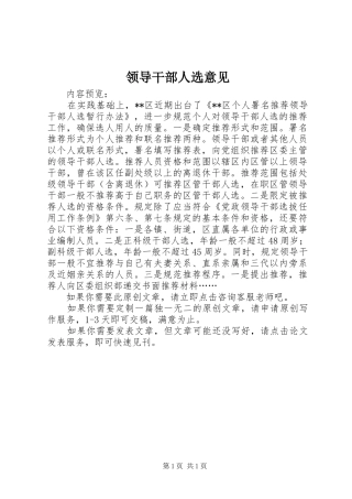 2024年领导干部人选意见