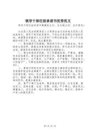 2024年领导干部任前承诺书优秀范文