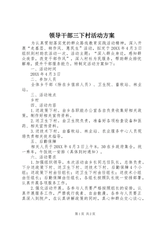 2024年领导干部三下村活动方案
